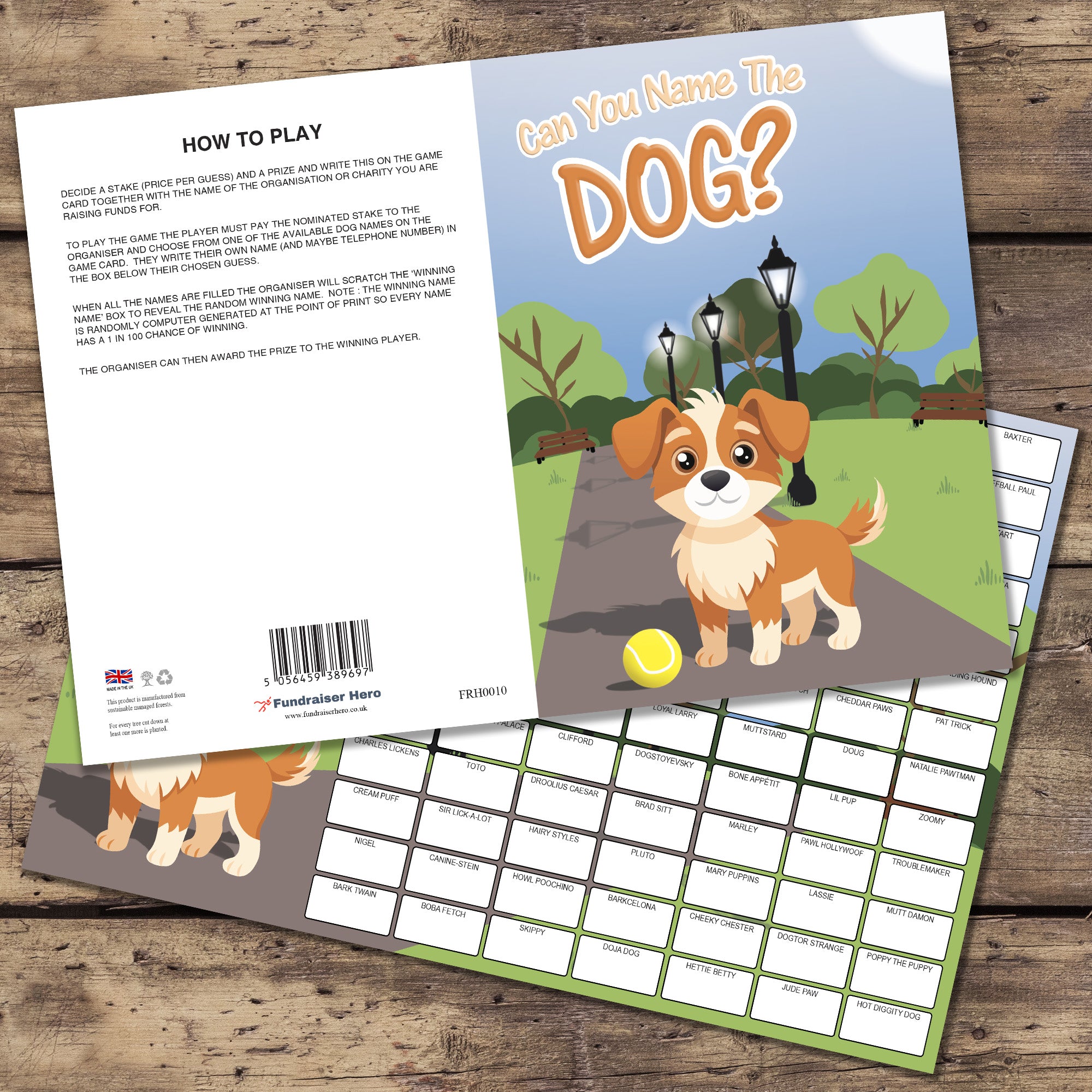 Name the Dog Fundraising Scratch Card. A4 Size - 100 Names - Double Si ...